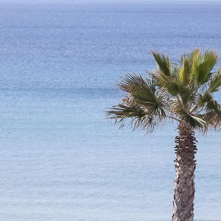 Hotel Sud Fronte Mare By Ria 3*